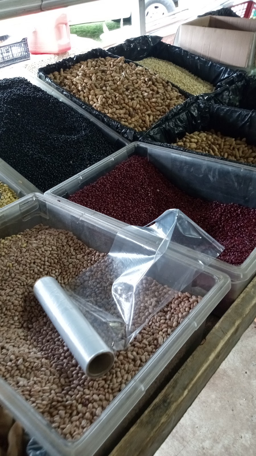 Taqueria | restaurant | 8985 Murfreesboro Rd, Lebanon, TN 37090, USA | 6154774497 OR +1 615-477-4497