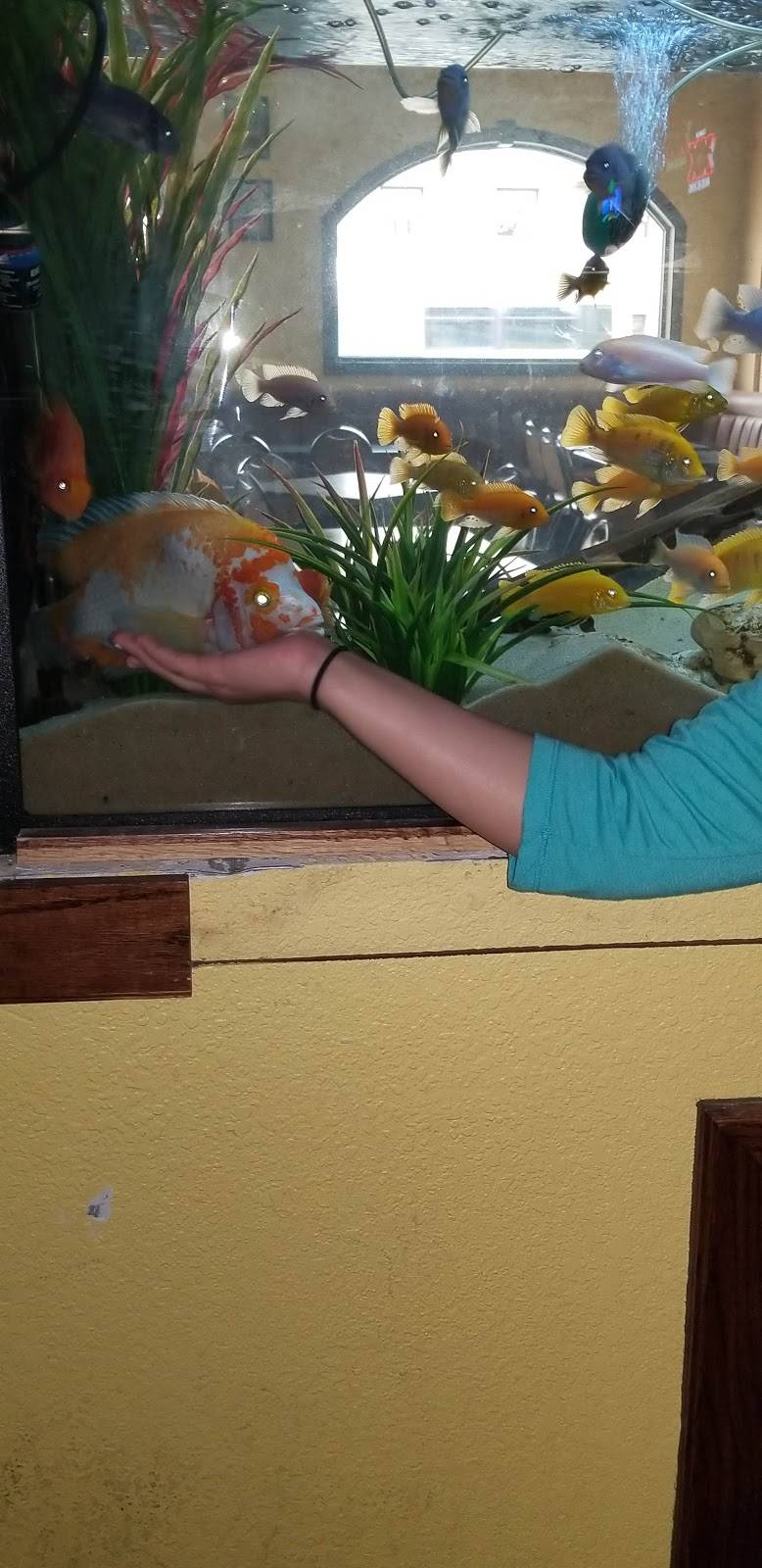 Los Sapitos | restaurant | 325 E Jefferson Blvd, Dallas, TX 75203, USA | 2149467012 OR +1 214-946-7012