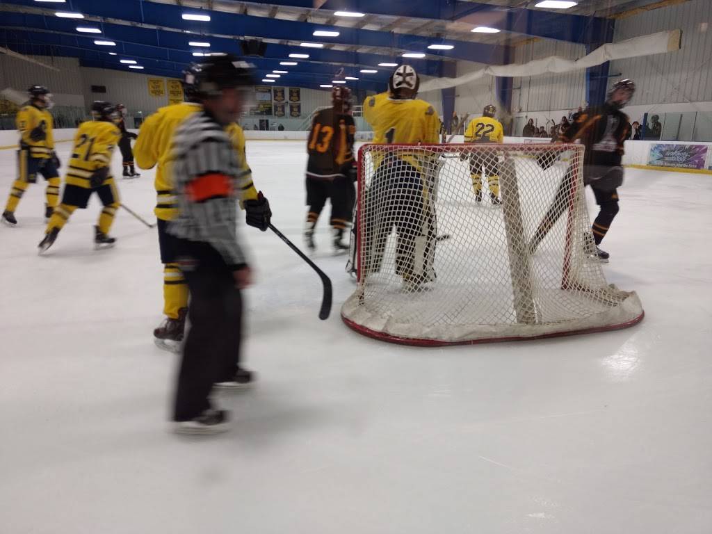 Arctic Coliseum Inc | restaurant | 501 Coliseum Dr, Chelsea, MI 48118, USA | 7344334444 OR +1 734-433-4444