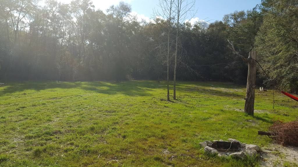 Moons Rock Bluff | restaurant | 3868 NW 67th Terrace, Bell, FL 32619, USA | 3869352002 OR +1 386-935-2002