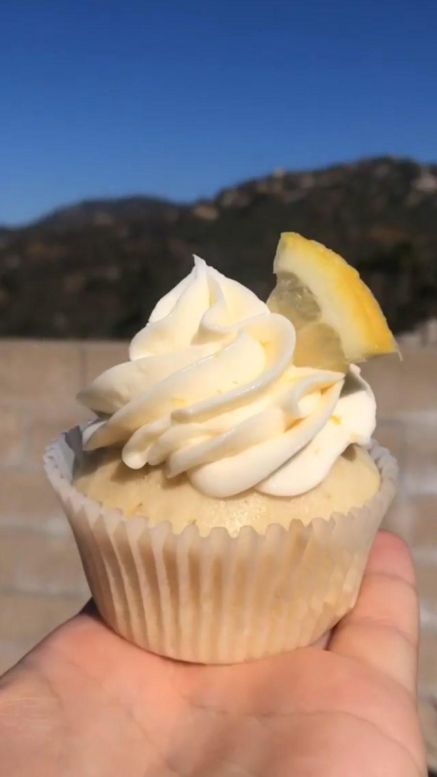 Polinas Cupcakery | restaurant | 13501 Windy Meadow Ln, Silver Spring, MD 20906, USA | 2404827368 OR +1 240-482-7368