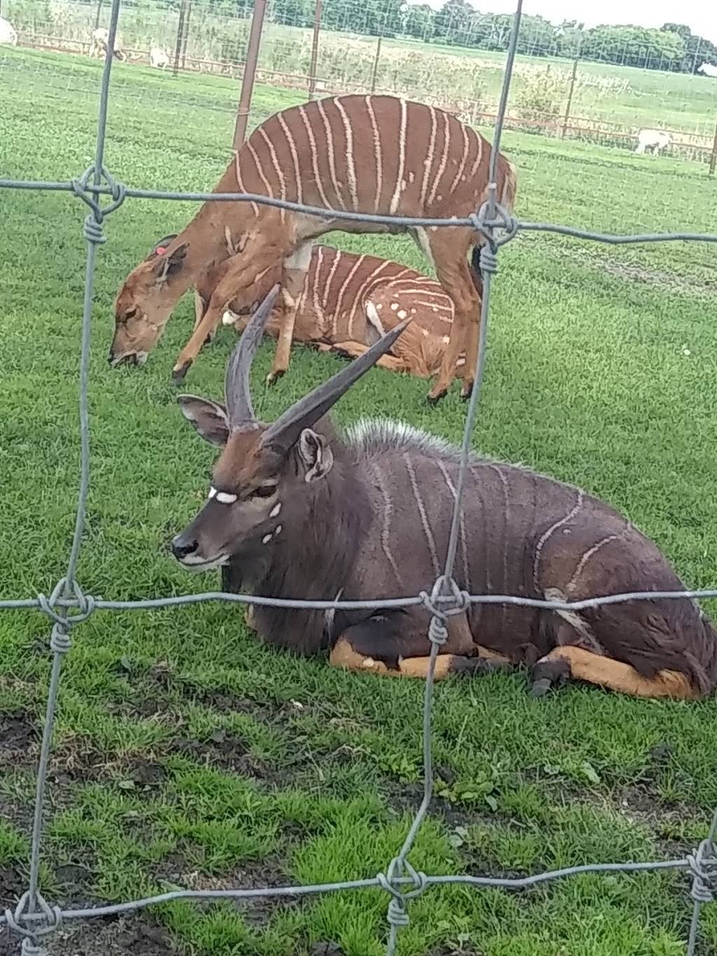 Dairy Queen Grill & Chill | restaurant | 331 7th St S, Albany, MN 56307, USA | 3208452960 OR +1 320-845-2960