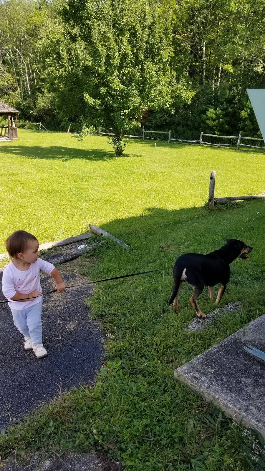 Village Pizza | restaurant | 3091 NY-28, Shokan, NY 12481, USA | 8456576888 OR +1 845-657-6888