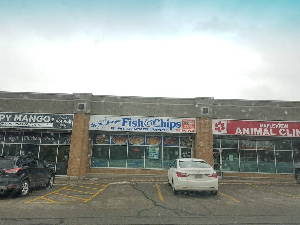 Captain Georges Fish & Chips | restaurant | 237 Mapleview Dr E #6, Barrie, ON L4N 0W5, Canada | 7055030088 OR +1 705-503-0088