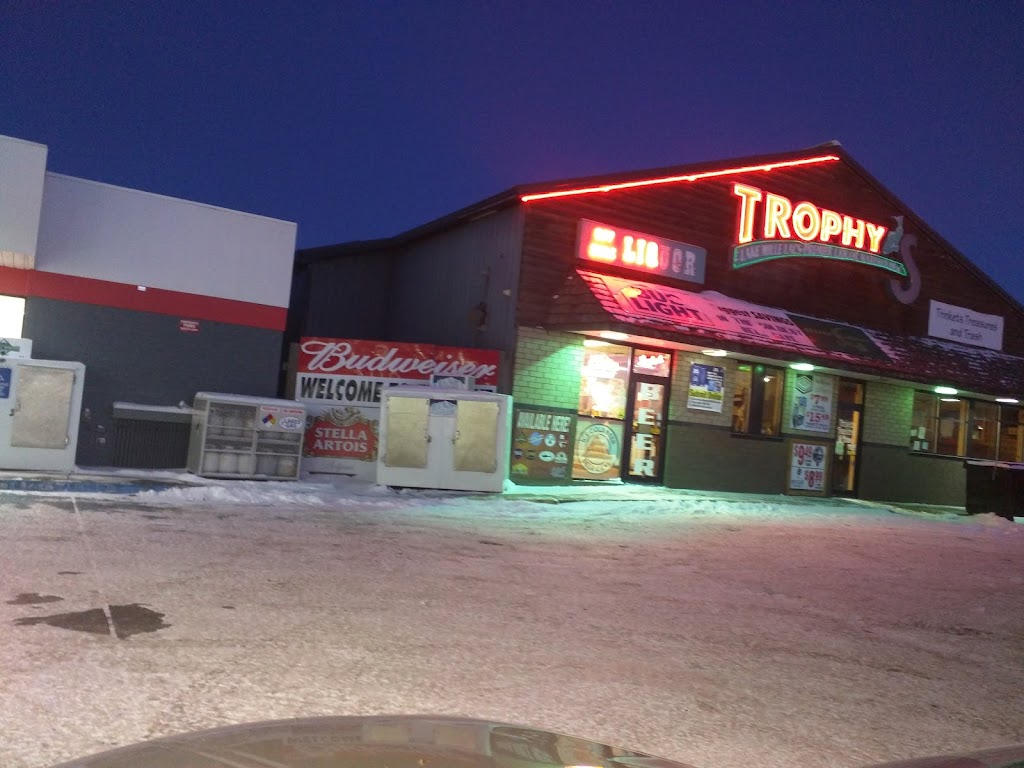 Shell | restaurant | 38666 US-169, Onamia, MN 56359, USA | 3207381402 OR +1 320-738-1402