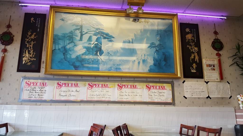 Wok n Roll | restaurant | 3504, 909 Carmans Rd, Massapequa, NY 11758, USA | 5167978899 OR +1 516-797-8899