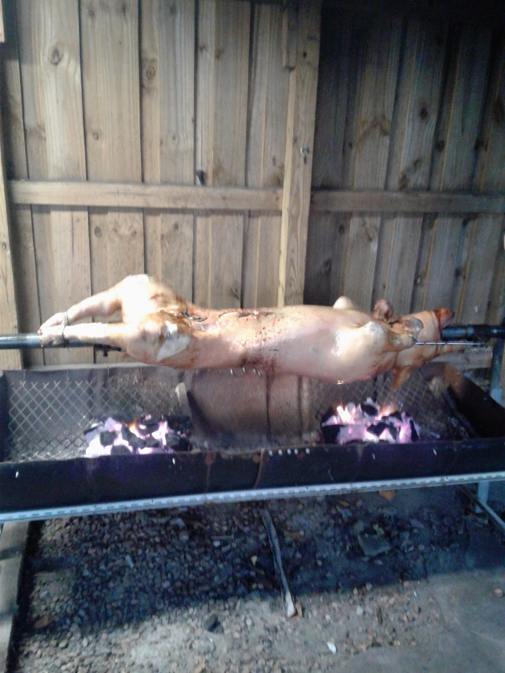 Castle Novo Pizza | restaurant | 3001 W 12th Ave, Hialeah, FL 33012, USA | 3058260664 OR +1 305-826-0664