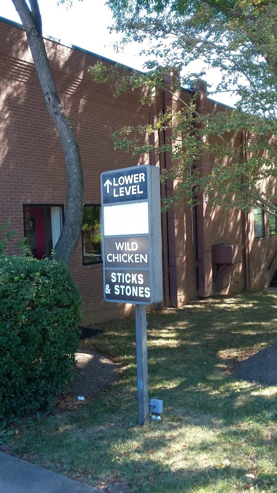 Wild Chicken | restaurant | 11039 Lee Hwy, Fairfax, VA 22030, USA | 7033830266 OR +1 703-383-0266