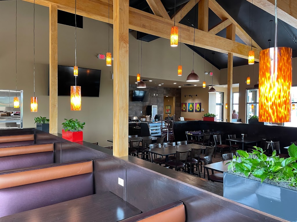 Las Palapas - OConnor | restaurant | 4438 N Loop 1604 E, San Antonio, TX 78247, USA | 2103728997 OR +1 210-372-8997