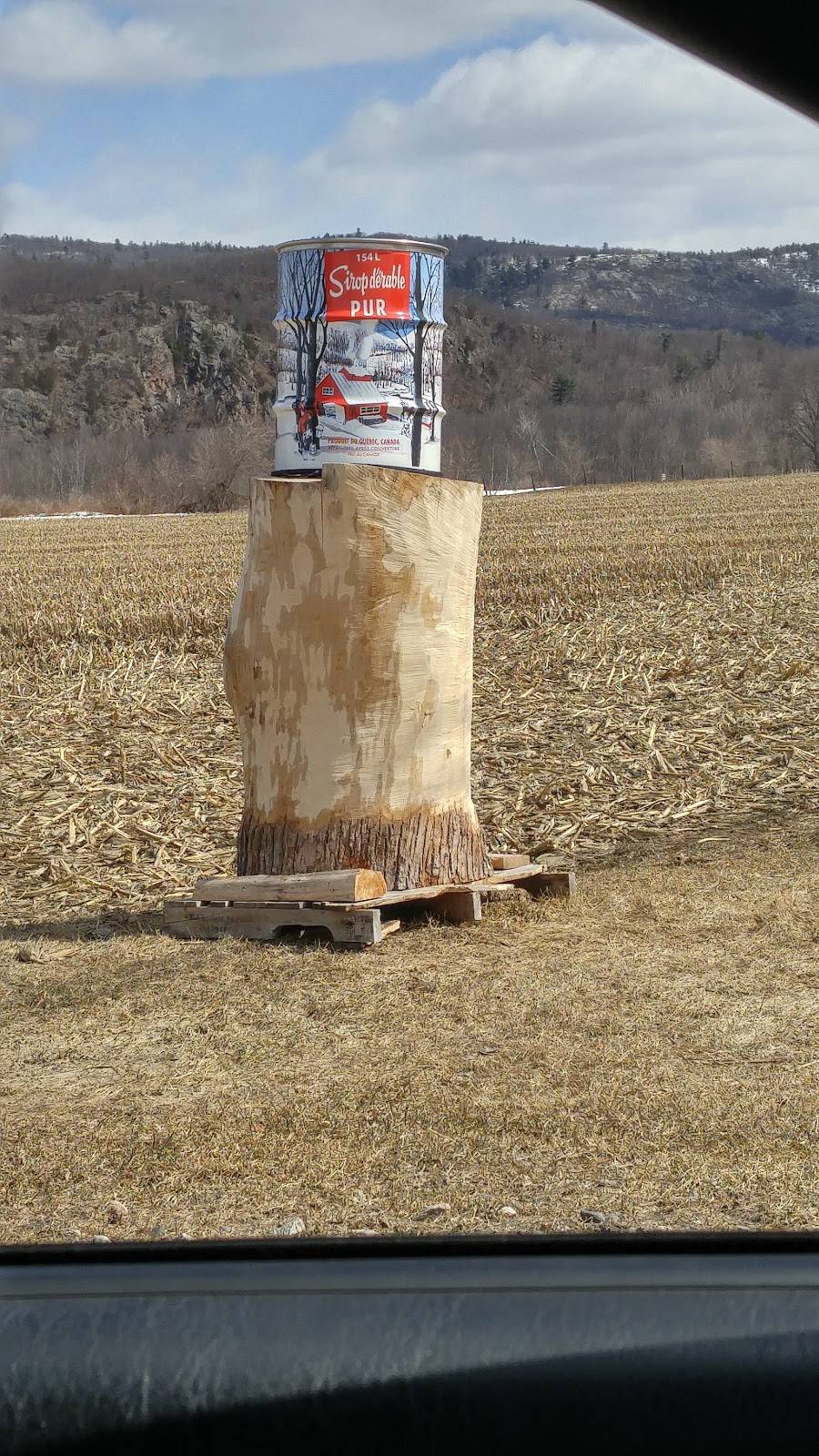 Sucrerie Alary | restaurant | 3242 QC-148, Luskville, QC J0X 2G0, Canada | 8194552572 OR +1 819-455-2572