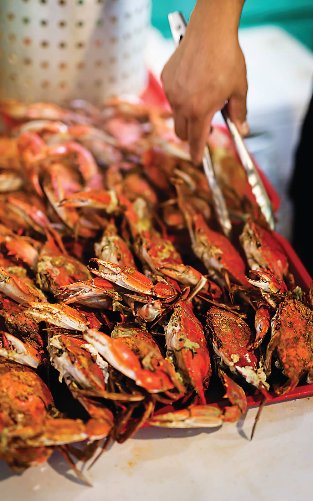 Exotic on the Run | restaurant | 3106 W 16th St, Indianapolis, IN 46222, USA | 3172249642 OR +1 317-224-9642