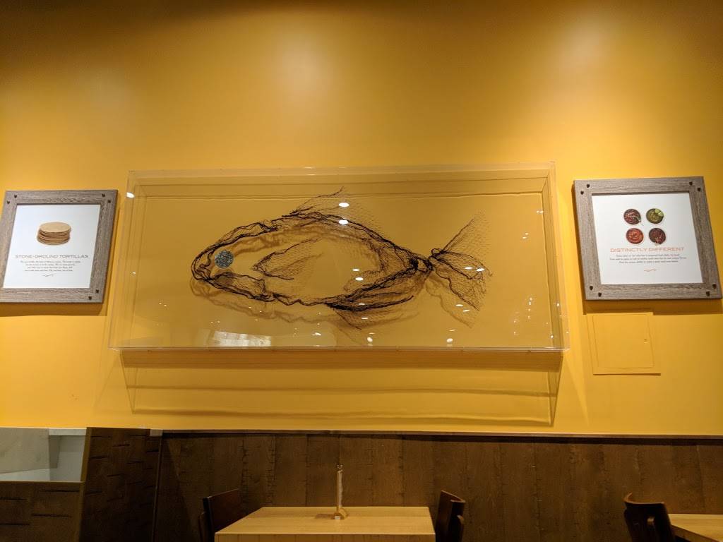 Rubios Coastal Grill | restaurant | 441 N McDowell Blvd, Petaluma, CA 94954, USA | 7076587040 OR +1 707-658-7040