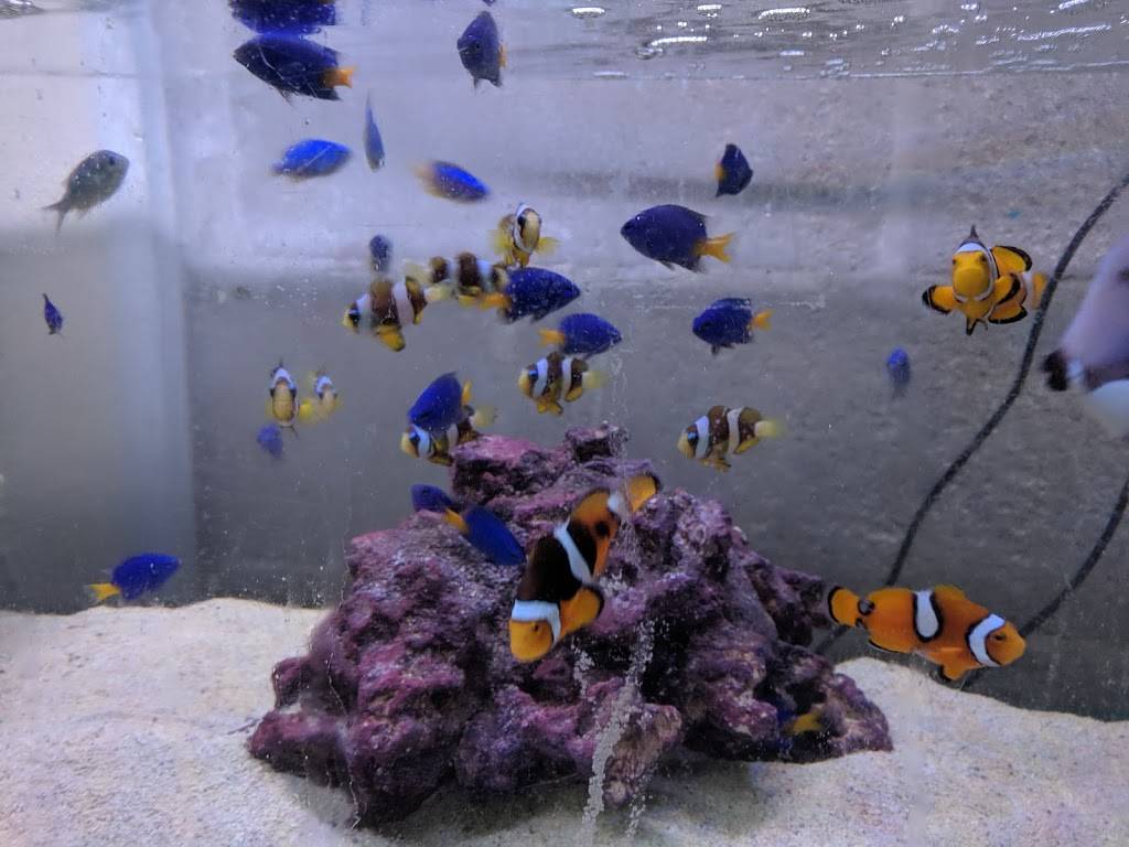 Gulf Gate Business Directory | shopping mall | 6612 Gateway Ave, Sarasota, FL 34231, USA | 9417248604 OR +1 941-724-8604