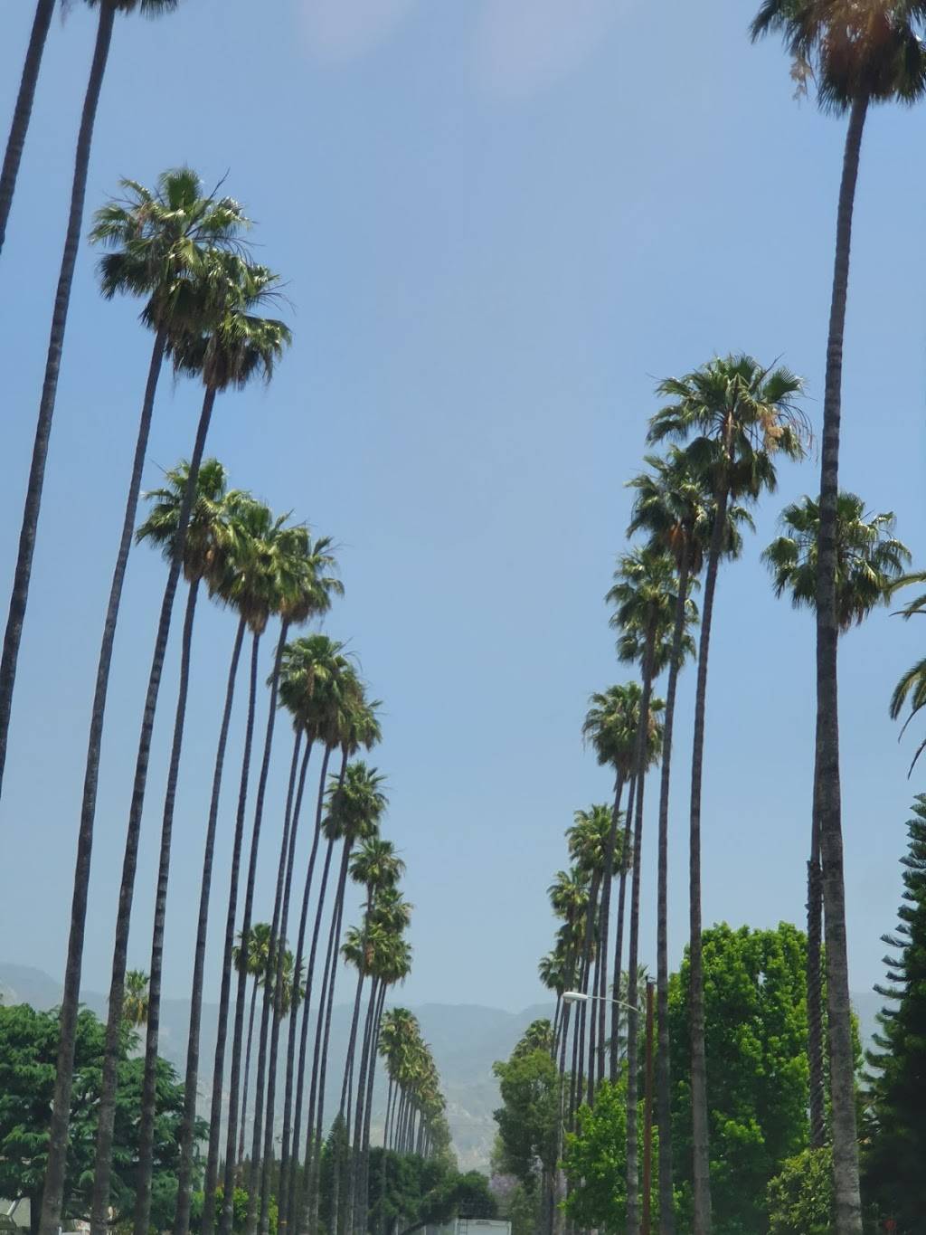 Starbucks | cafe | 1703 W Glenoaks Blvd, Glendale, CA 91201, USA | 8182449488 OR +1 818-244-9488