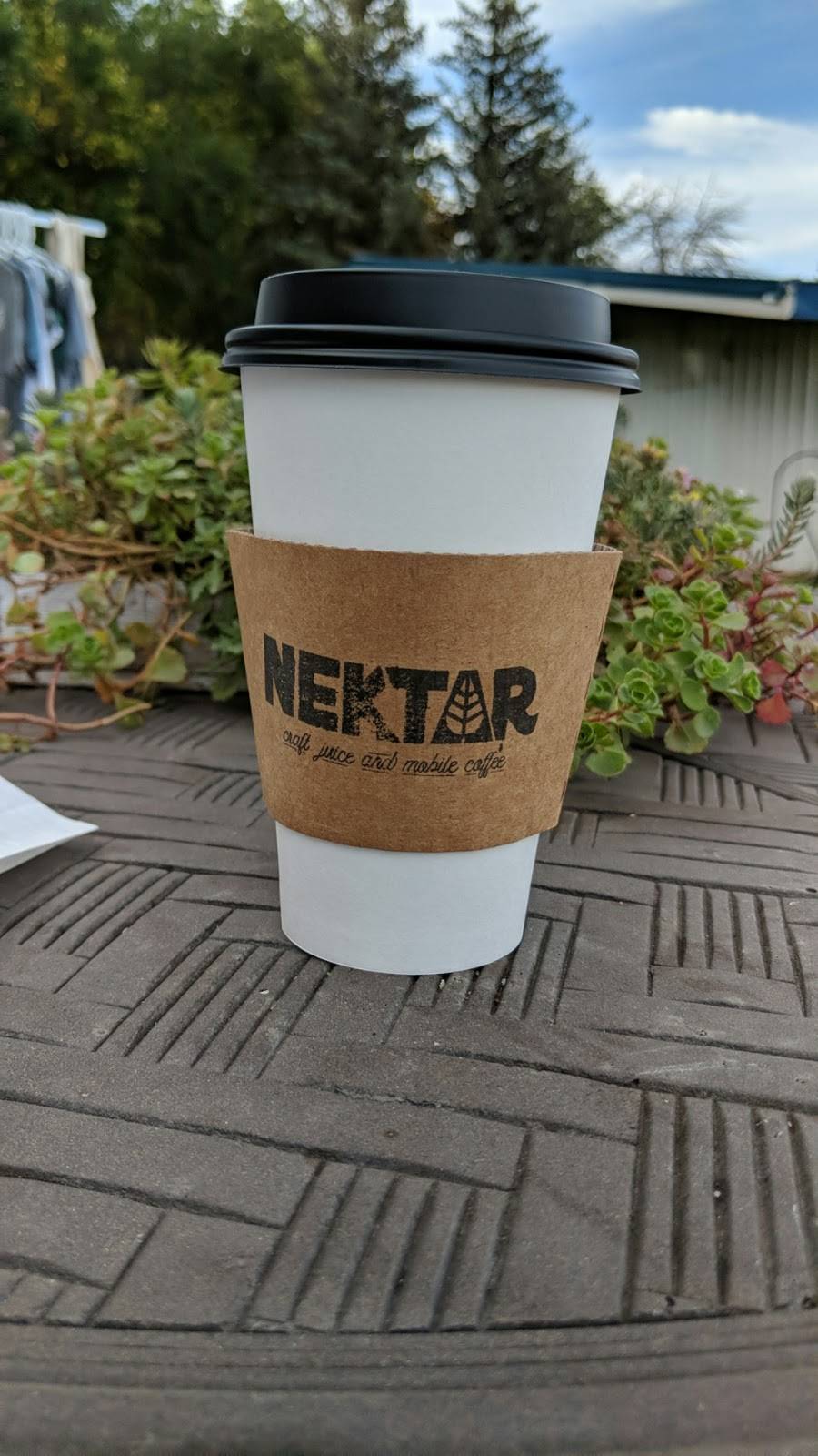 Nektar | restaurant | 612 US-71, Arnolds Park, IA 51331, USA | 7123307719 OR +1 712-330-7719