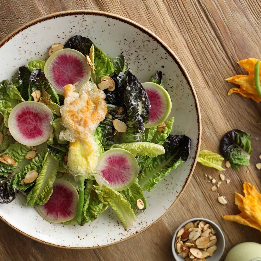 Lazy Dog Restaurant & Bar | restaurant | 1851 N Central Expy, Allen, TX 75013, USA | 4693934119 OR +1 469-393-4119