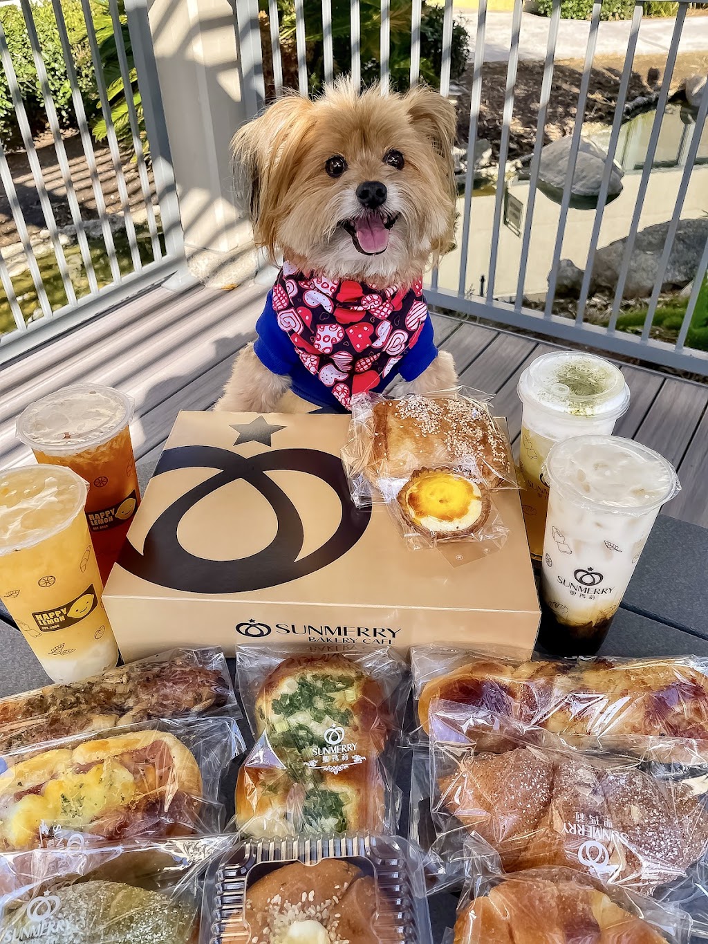 Lollicup | cafe | 14805 Jeffrey Rd A, Irvine, CA 92618, USA | 9495599436 OR +1 949-559-9436