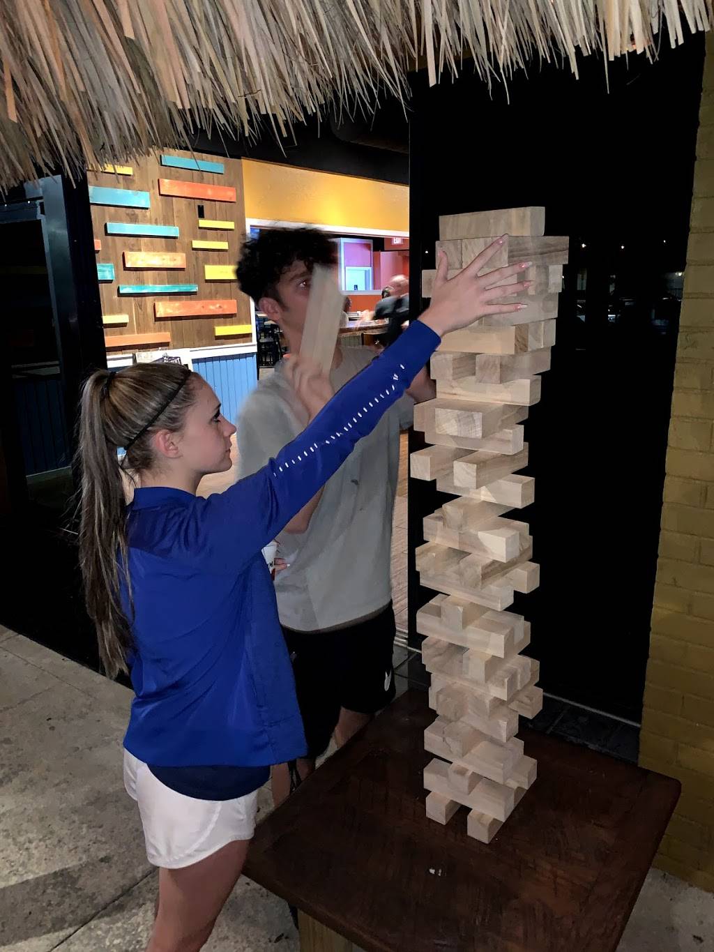 Twisted Turtle Grill and Bar | restaurant | 11742 N Dale Mabry Hwy, Tampa, FL 33618, USA | 8134438258 OR +1 813-443-8258