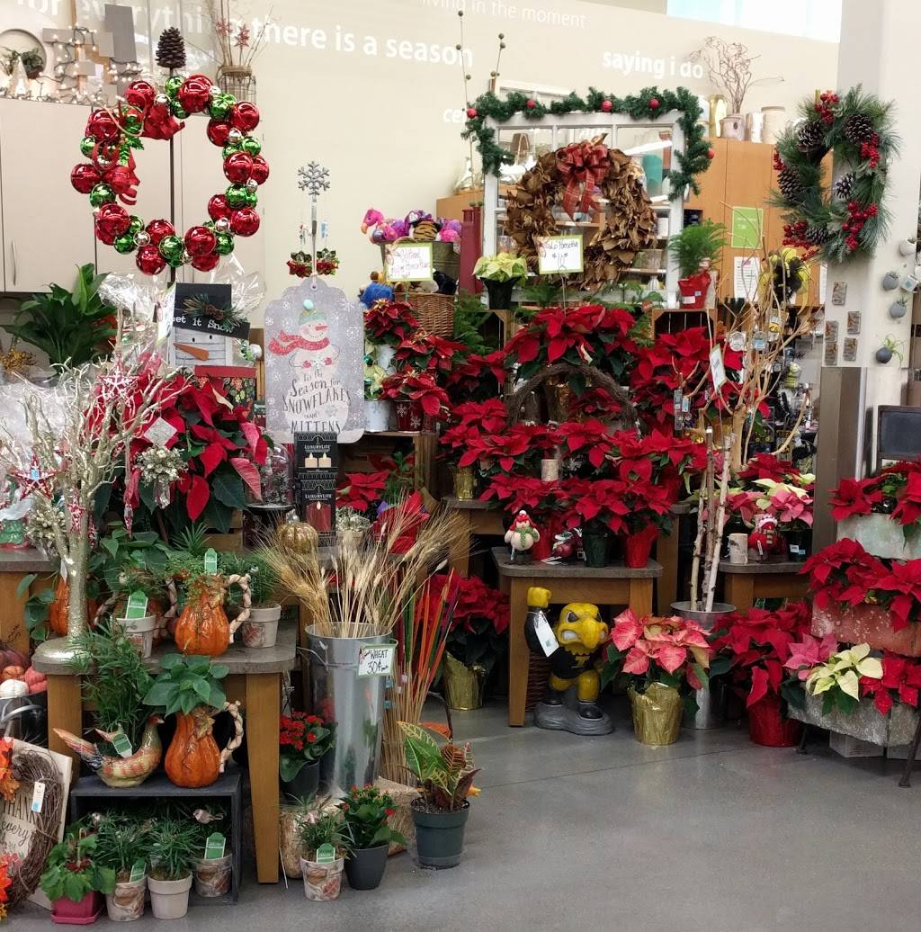 Hy-Vee Market Grille Express | restaurant | 1125 N Dodge St, Iowa City, IA 52245, USA | 3193549223 OR +1 319-354-9223