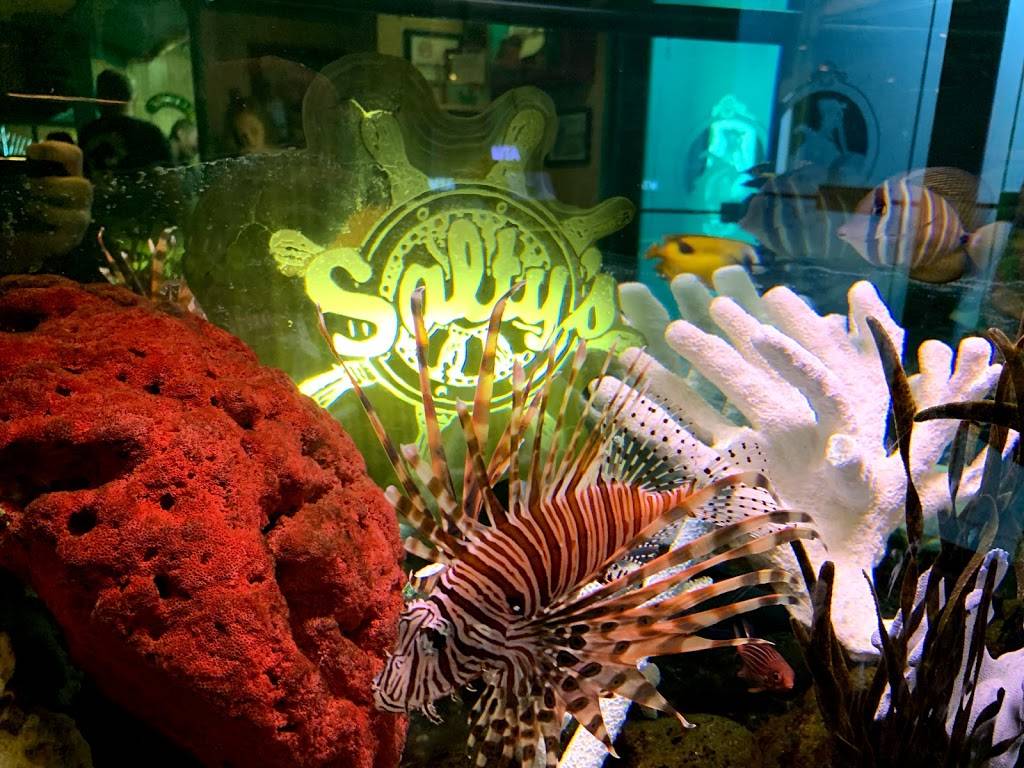 Saltys | restaurant | 503 N Park Ave, Fond du Lac, WI 54935, USA | 9209229940 OR +1 920-922-9940