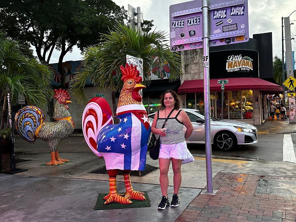 Zaza Pizza | restaurant | 803 NW 37th Ave, Miami, FL 33125, USA | 3056039090 OR +1 305-603-9090