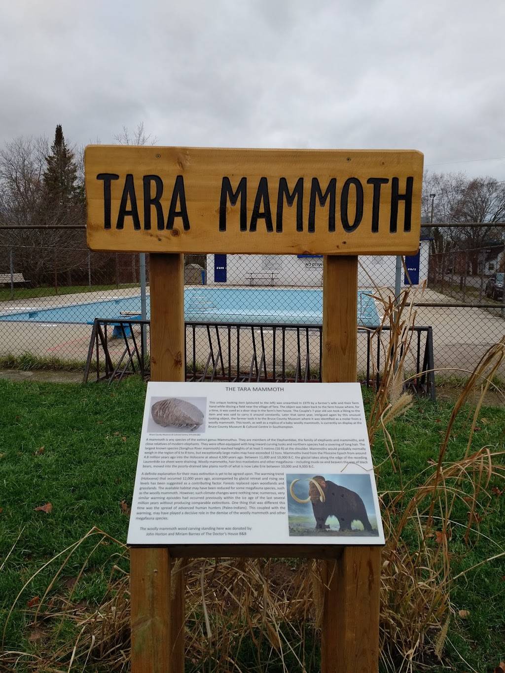 Sulky Sams Restaurant & Sports | restaurant | 18 Yonge St N, Tara, ON N0H 2N0, Canada | 5199343752 OR +1 519-934-3752