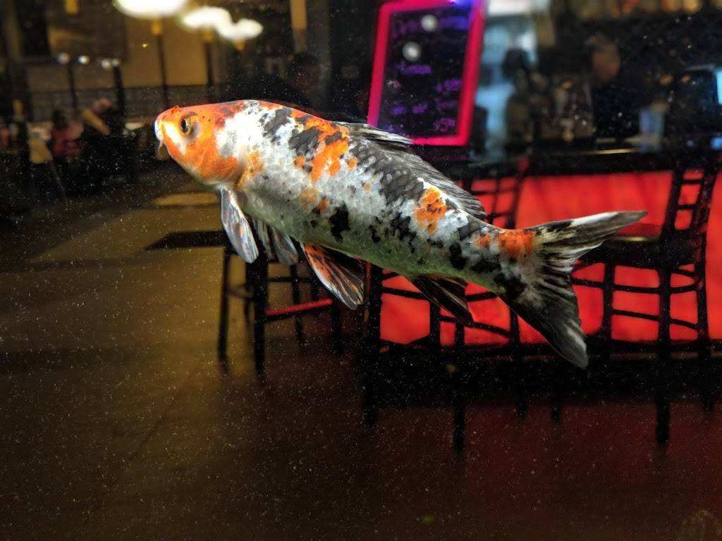 Fuji Japanese Steakhouse | restaurant | 4292 Prospect Dr, Decatur, IL 62526, USA | 2178720600 OR +1 217-872-0600