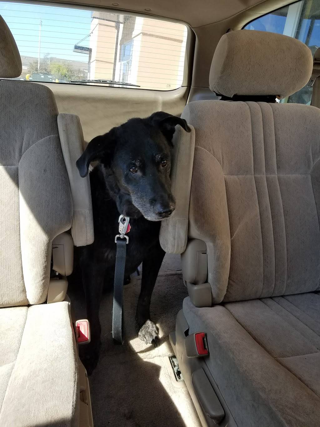 Raising Canes Chicken Fingers | meal takeaway | 2435 Iowa St, Lawrence, KS 66046, USA | 7858409800 OR +1 785-840-9800