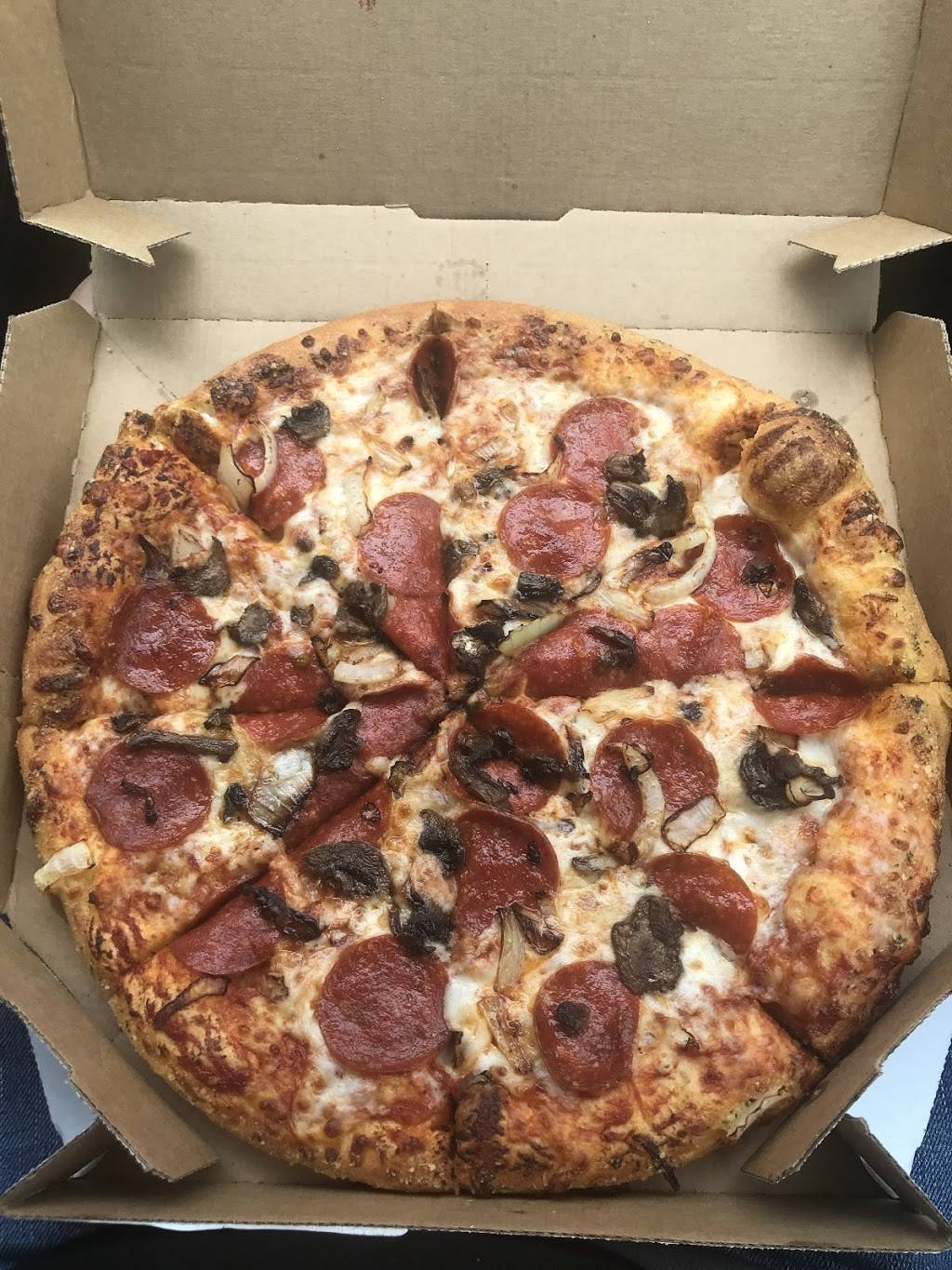 Dominos Pizza | meal delivery | 4550 Palm Beach Blvd, Fort Myers, FL 33905, USA | 2396931600 OR +1 239-693-1600