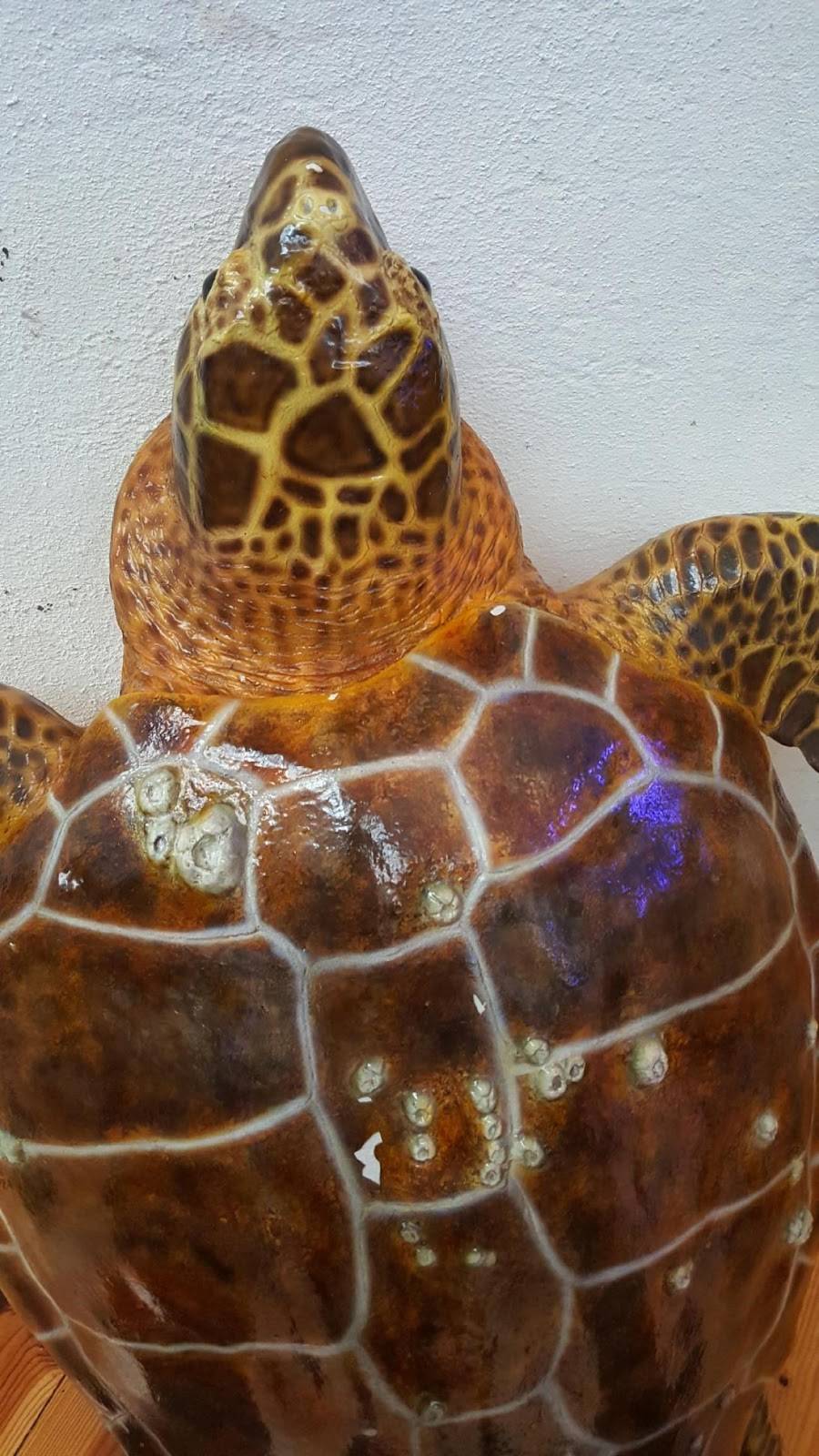 Jack in the Box | restaurant | 459 Hawk Ridge Trail, Lake St Louis, MO 63367, USA | 6366251993 OR +1 636-625-1993