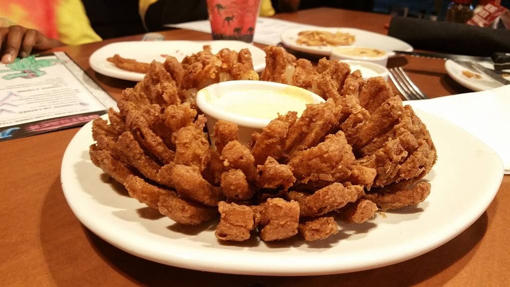 Outback Steakhouse | restaurant | 1574 N Dupont Hwy st 800, Dover, DE 19901, USA | 3022443425 OR +1 302-244-3425