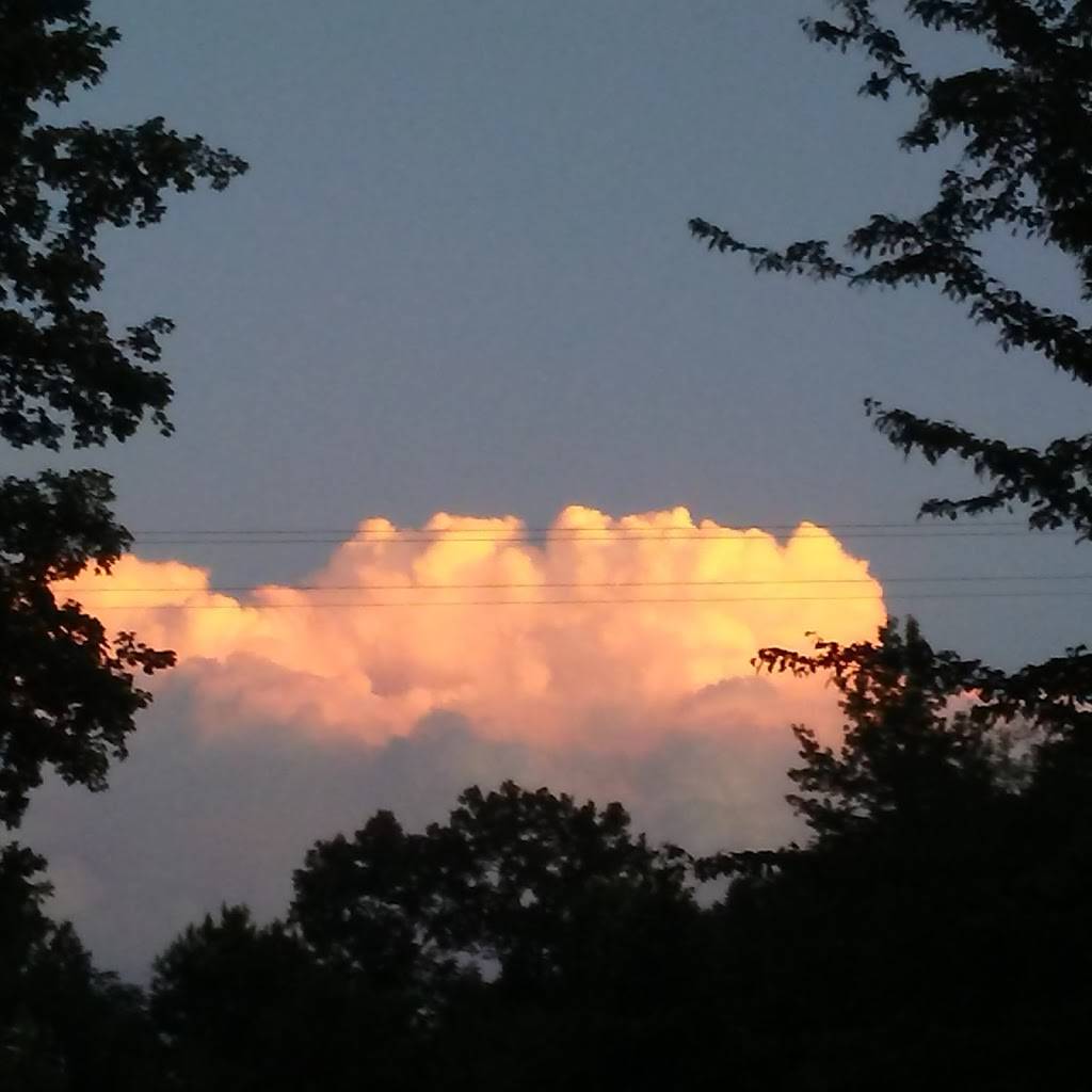 JDs BBQ Barn | restaurant | 5840 TN-100, Reagan, TN 38368, USA | 7315493840 OR +1 731-549-3840