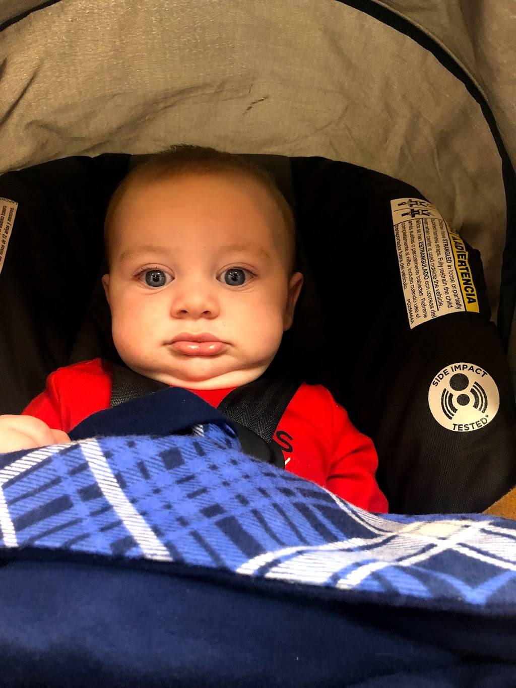 Five Guys | restaurant | 79 Market St, Potsdam, NY 13676, USA | 3152740263 OR +1 315-274-0263