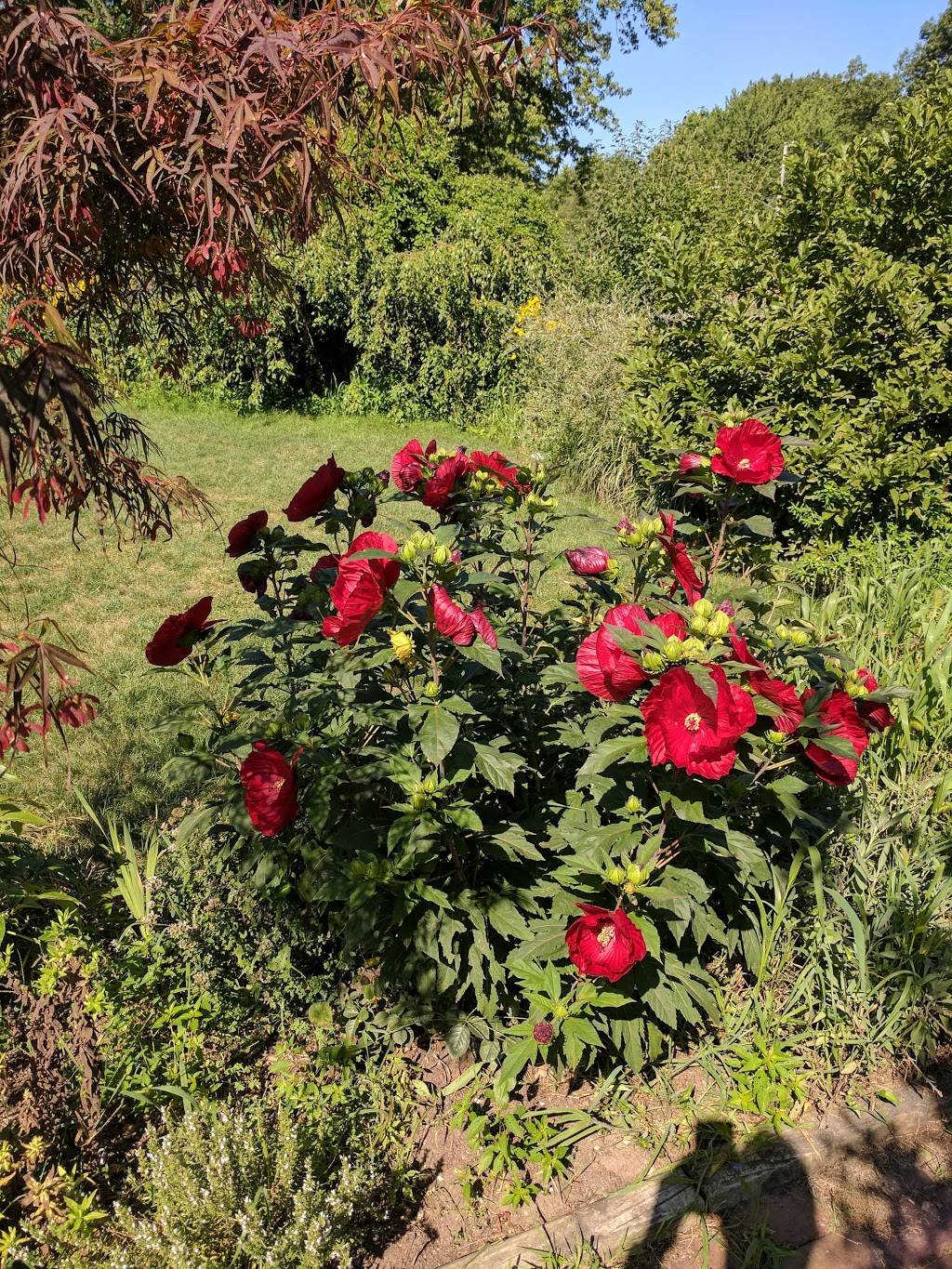 Cafe Gulistan | restaurant | 13581 Red Arrow Hwy, Harbert, MI 49115, USA | 2694696779 OR +1 269-469-6779