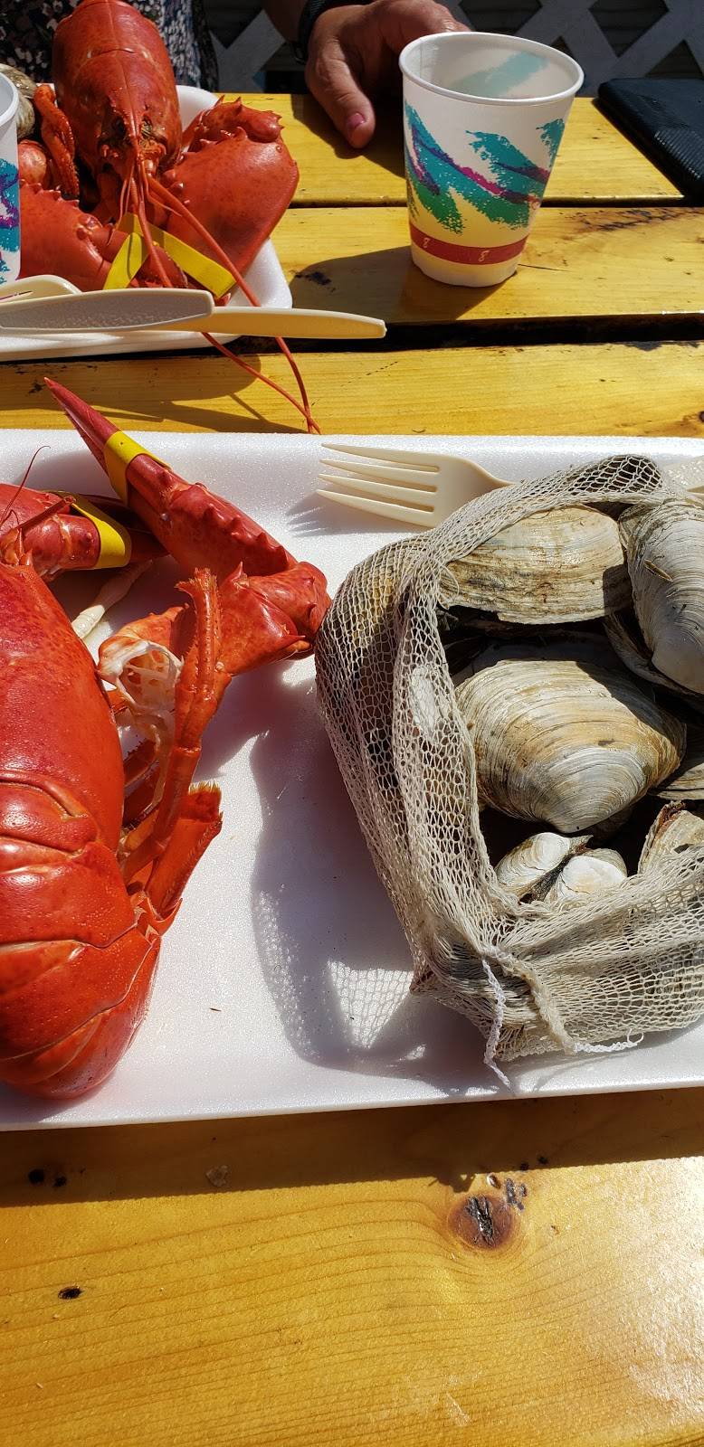 Shaws Fish & Lobster Wharf | restaurant | 129 ME-32 Suite A, New Harbor, ME 04554, USA | 2076772200 OR +1 207-677-2200