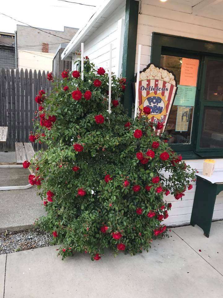 Marthas popcorn | restaurant | 2225, 112 W 9th St, Auburn, IN 46706, USA | 2602260517 OR +1 260-226-0517