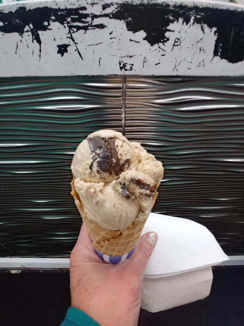 Cadillac Ice Cream Company | restaurant | 101-199 Leisure St, Cadillac, MI 49601, USA | 2317757151 OR +1 231-775-7151