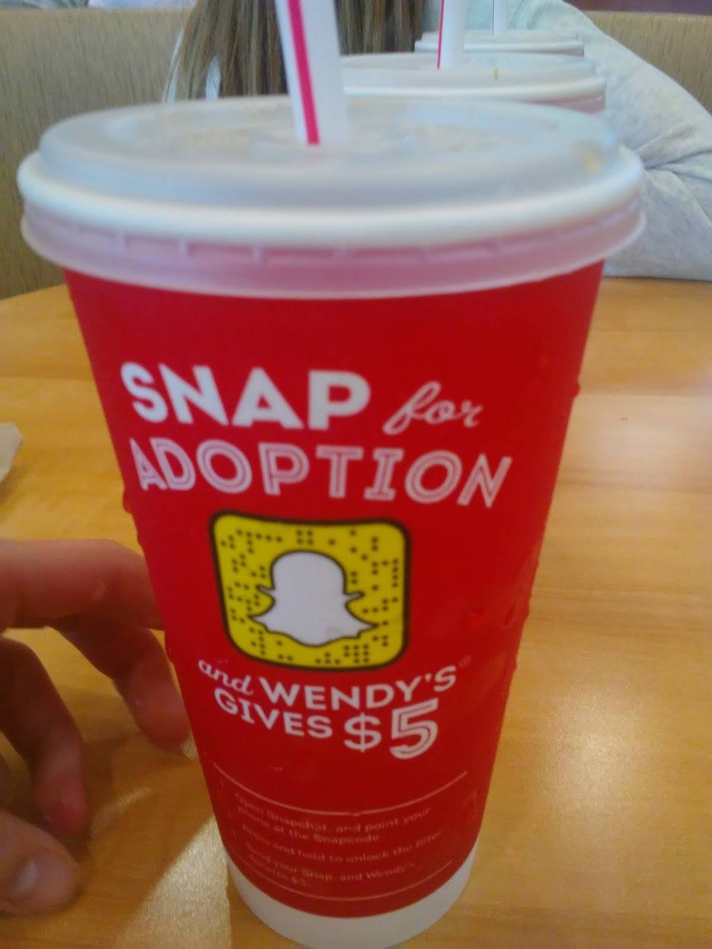 Wendys | restaurant | 2159 West, Co Rd 48, Bushnell, FL 33513, USA | 3527932848 OR +1 352-793-2848