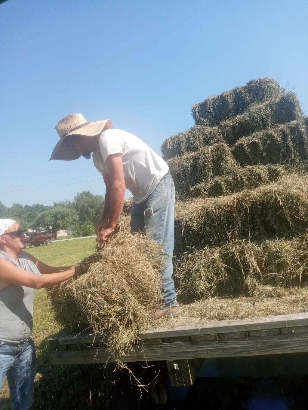 Driftwood trading post | restaurant | 2380 IN-135, Vallonia, IN 47281, USA | 8125287509 OR +1 812-528-7509