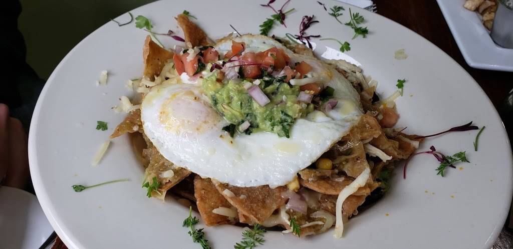 Savanna Restaurant | restaurant | 4111 N Lincoln Ave, Chicago, IL 60618, USA | 8728177340 OR +1 872-817-7340