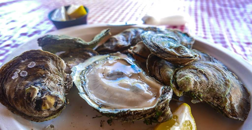 Jameson Point Lobster | restaurant | 100 Harbor Rd, Friendship, ME 04547, USA | 2078324001 OR +1 207-832-4001