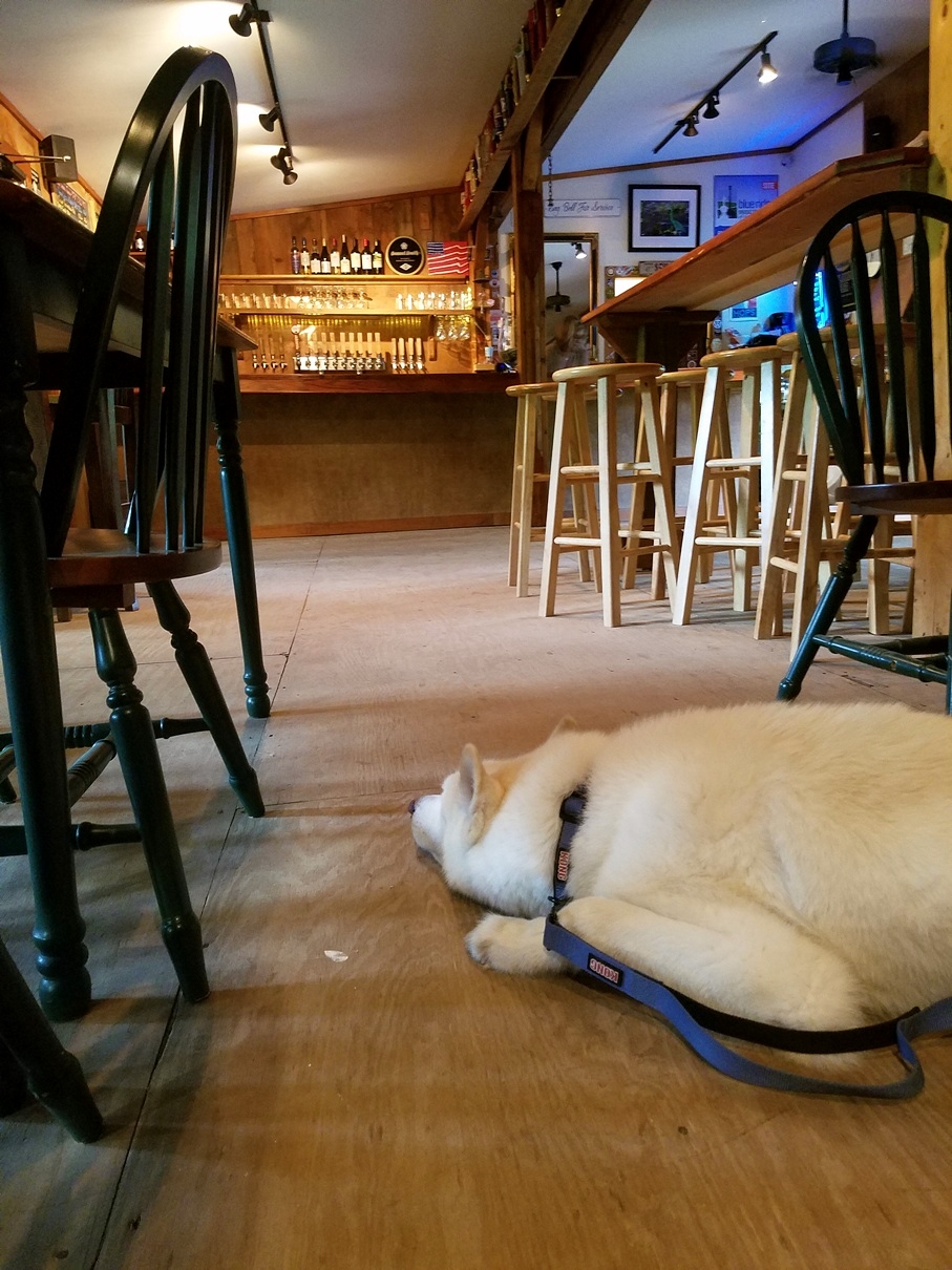 Green Heron Ale House | restaurant | 1110 Flinchum Rd, Danbury, NC 27016, USA | 3365934733 OR +1 336-593-4733