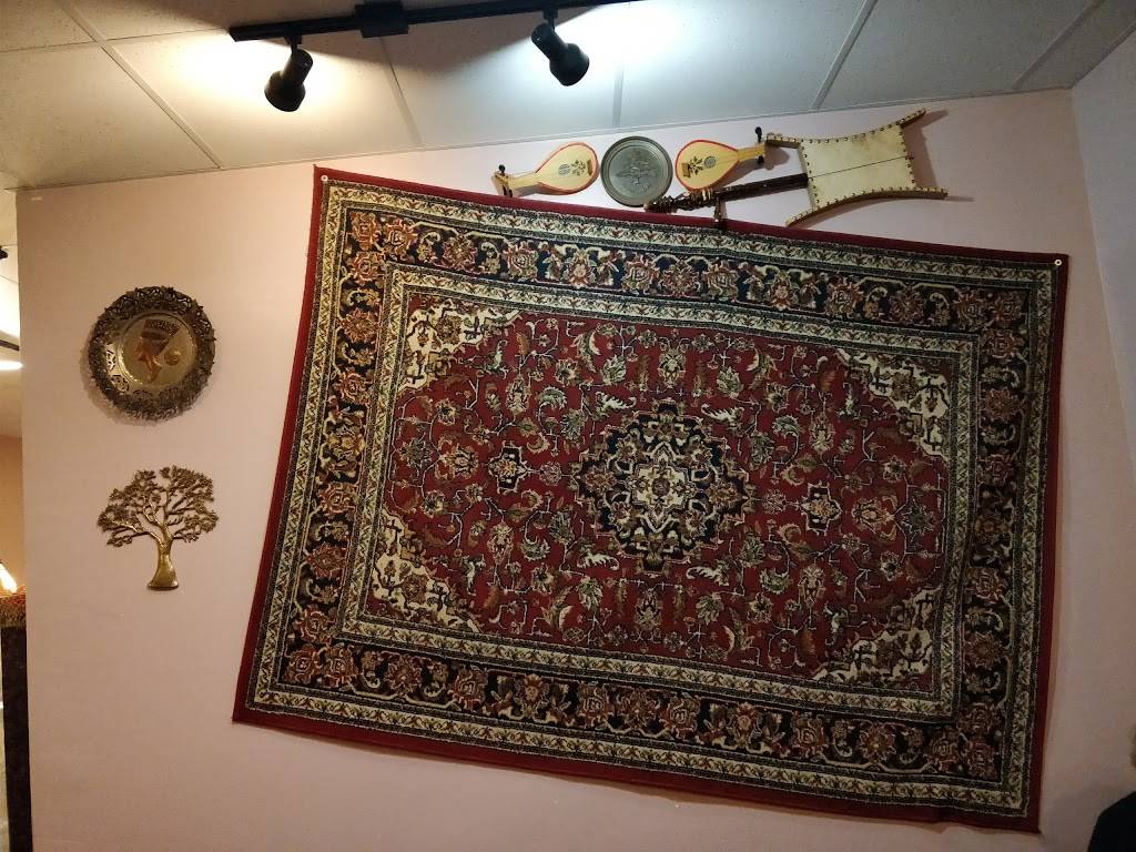 Shish Kabob Express | restaurant | 3118 Fairlane Drive, Allen Park, MI 48101, USA | 3139829030 OR +1 313-982-9030