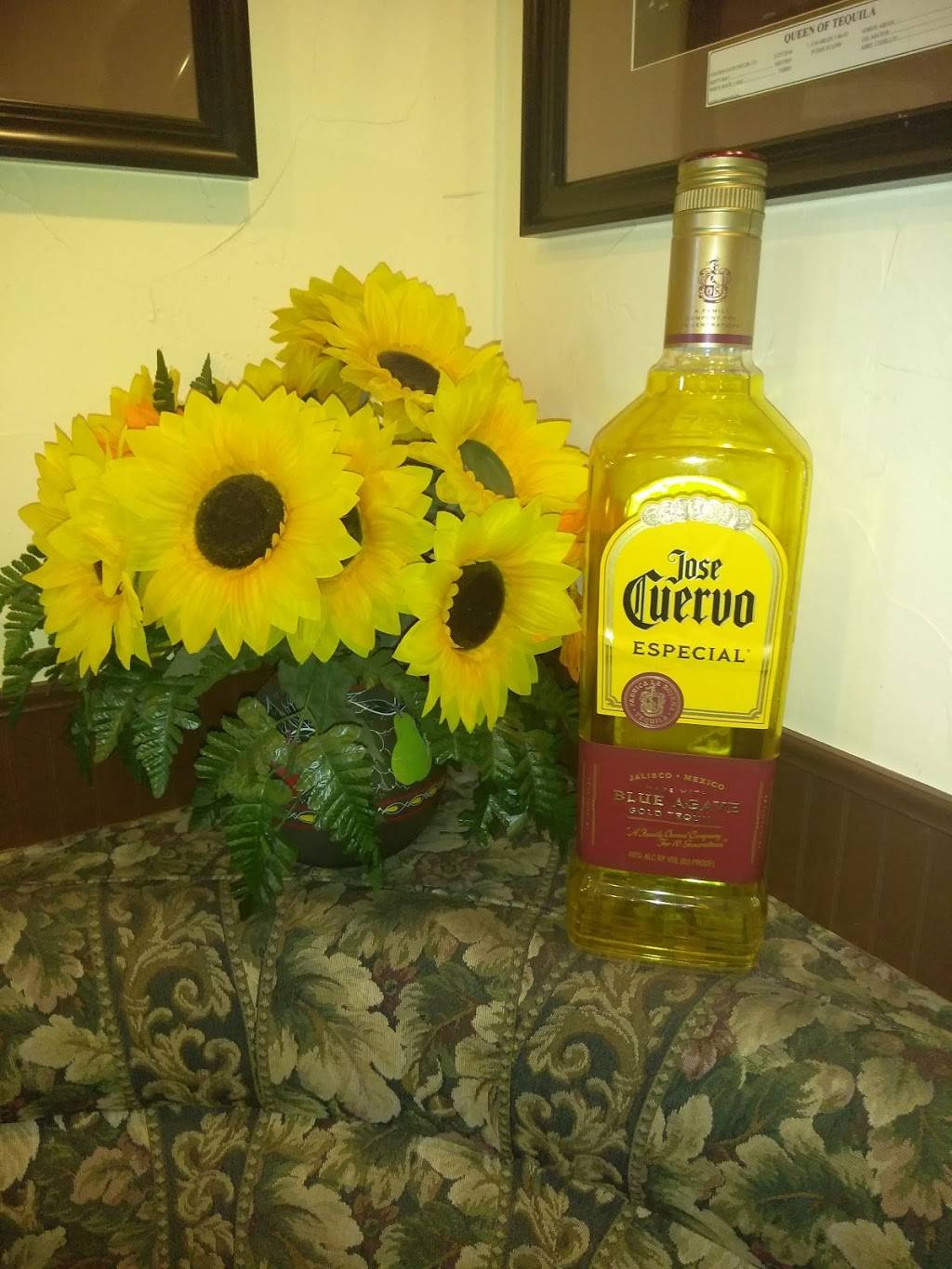 Jorges El Tapatio | restaurant | 572 W 11th St, Tracy, CA 95376, USA | 2098329000 OR +1 209-832-9000