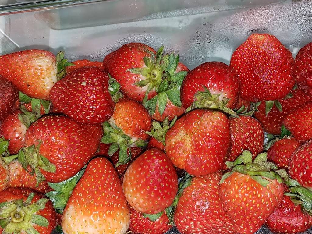 Smootheory | restaurant | 129 E Collins Ave, Orange, CA 92867, USA | 7143633418 OR +1 714-363-3418