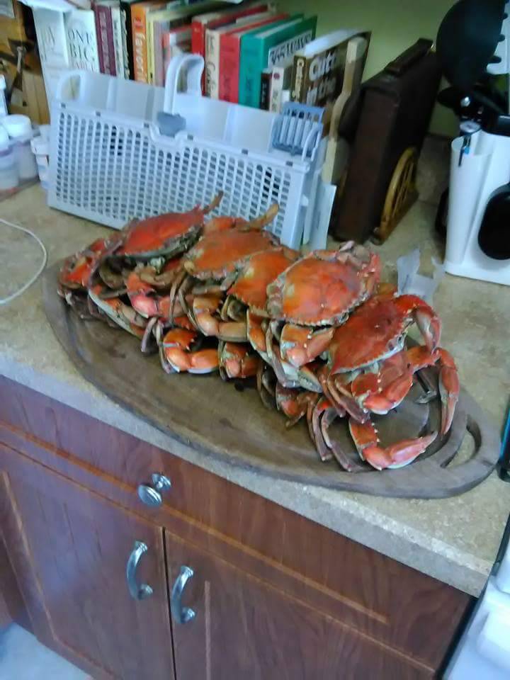 Save On Seafood Co | restaurant | 1449 49th St S, Gulfport, FL 33707, USA | 7273230155 OR +1 727-323-0155