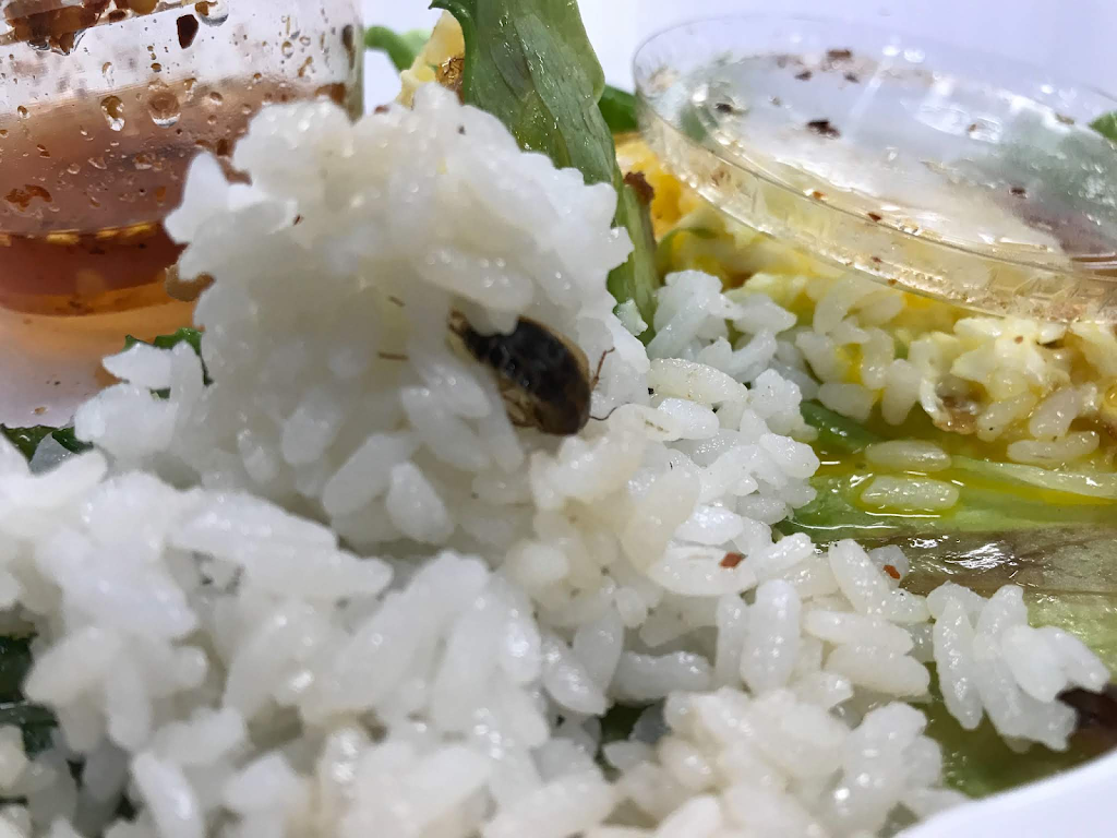 Asya Restaurant | restaurant | 3215 Oak Knoll Dr C, Redwood City, CA 94062, USA | 6505498526 OR +1 650-549-8526