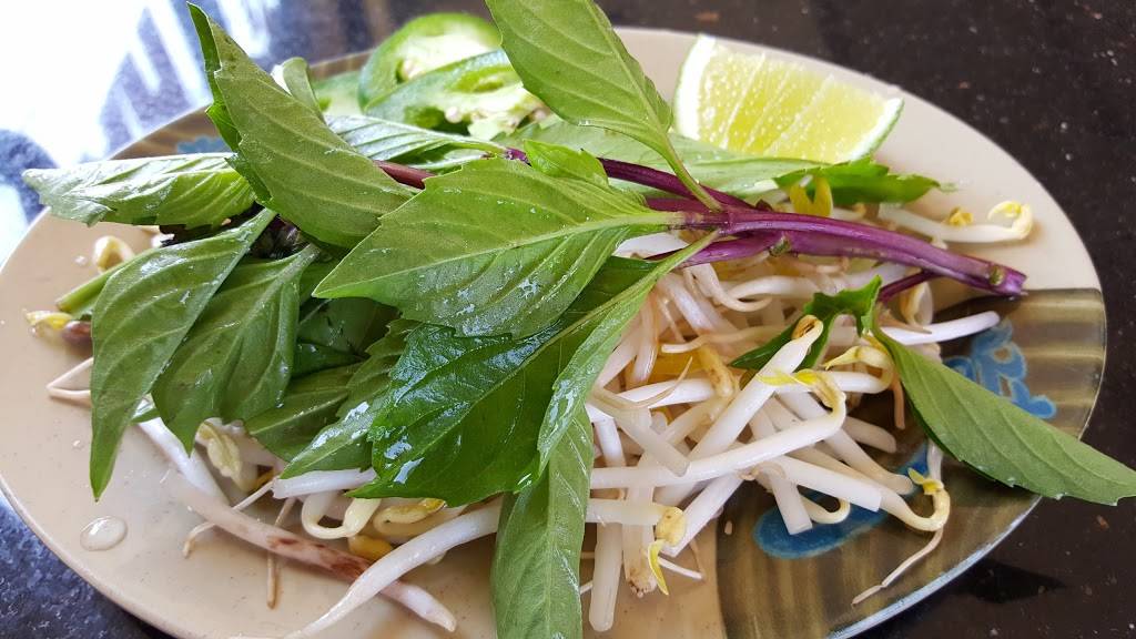 Pho Ha | restaurant | 600 Washington Ave, Philadelphia, PA 19147, USA | 2155990264 OR +1 215-599-0264