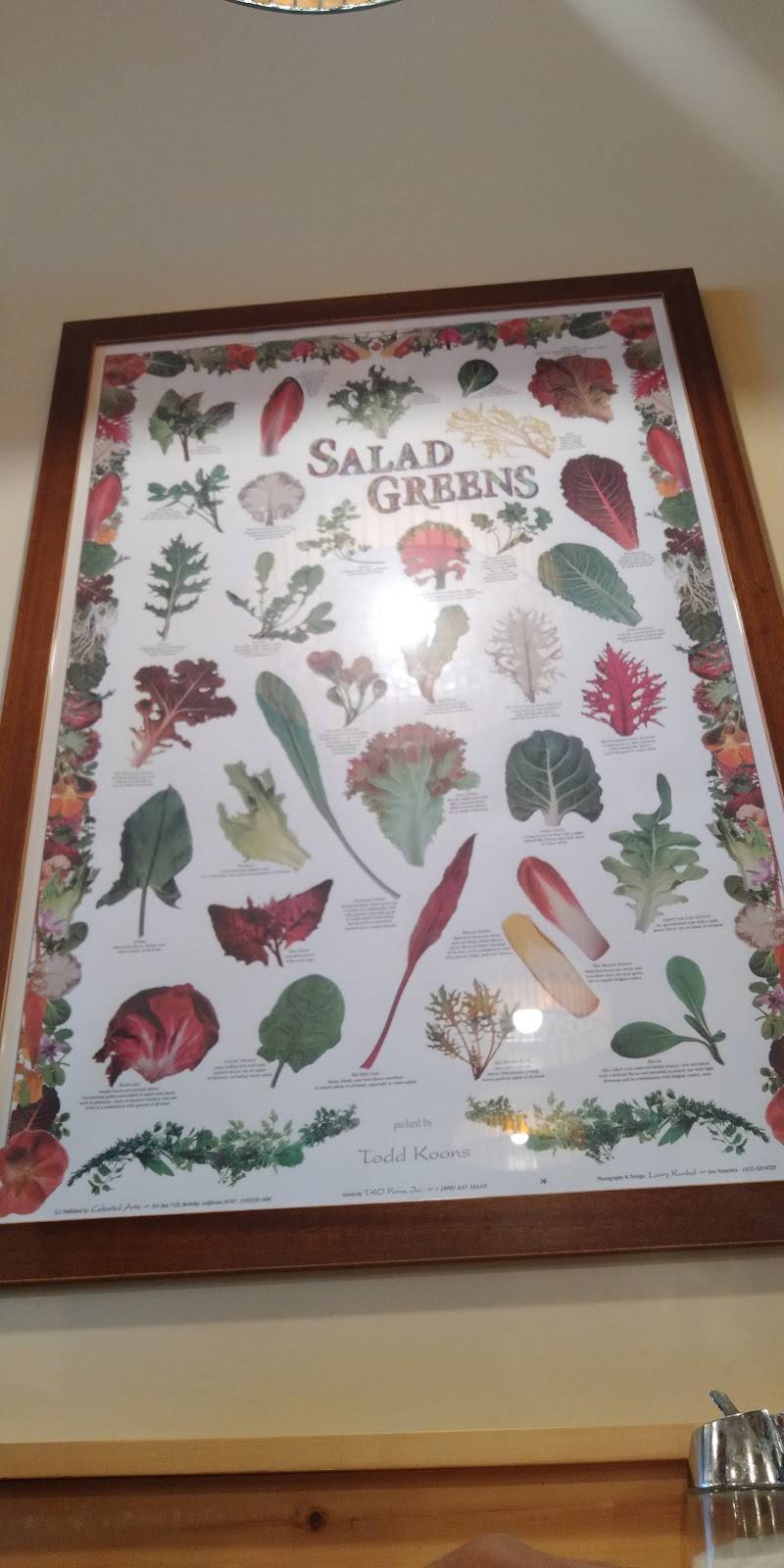 Sunset Grill | restaurant | 584 Weber St N, Waterloo, ON N2V 1K4, Canada | 5197464444 OR +1 519-746-4444