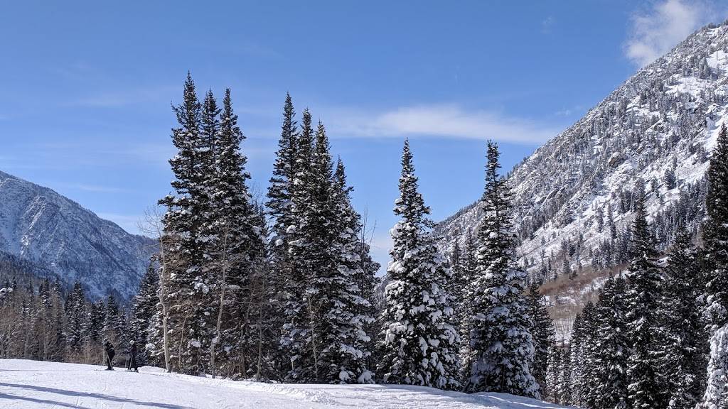 Creekside Cafe and Grill | cafe | 8880 Gad Valley Dr, Snowbird, UT 84092, USA | 8019332222 OR +1 801-933-2222